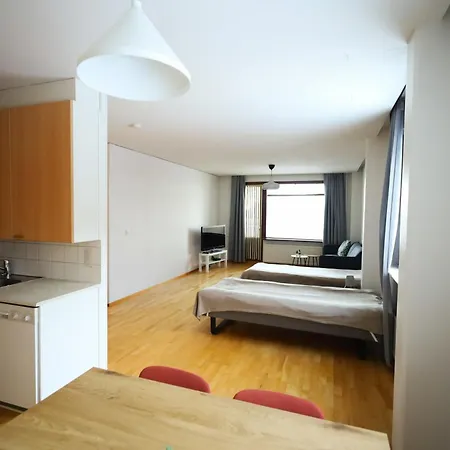 Libo-apartment, Rypysuontie 74 With Free Parking 公寓